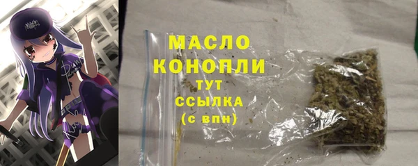 гидра Гусев