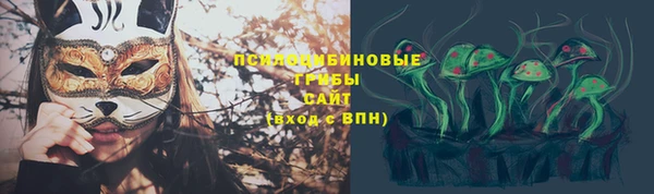 mix Гусиноозёрск