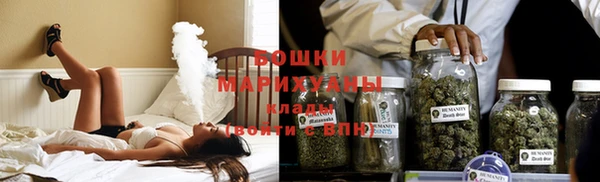 гидра Гусев