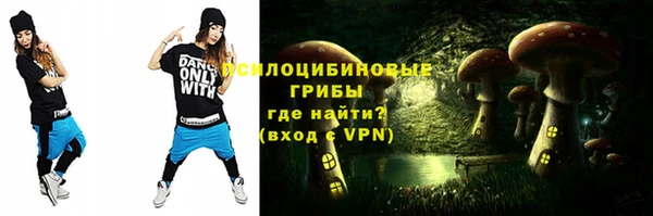 mix Гусиноозёрск