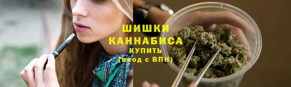 mix Гусиноозёрск