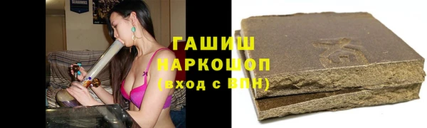 гидра Гусев