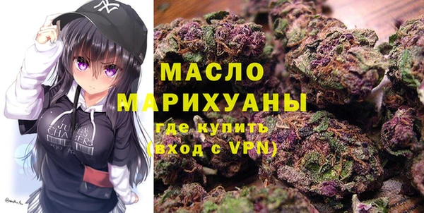 гидра Гусев