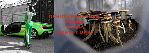 гидра Гусев